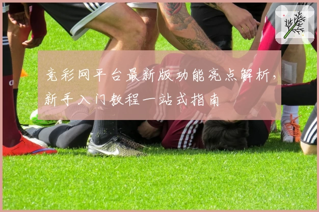 竞彩网平台最新版功能亮点解析，新手入门教程一站式指南